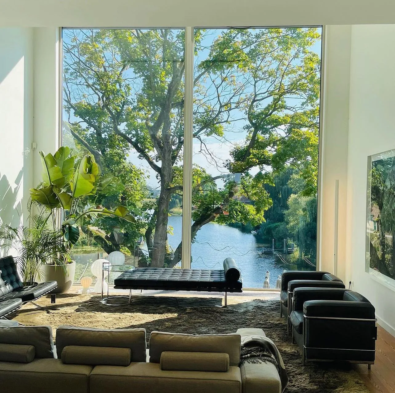 barcelona couch daybed by ludwig mies van der rohe and knoll 19 for donzelli